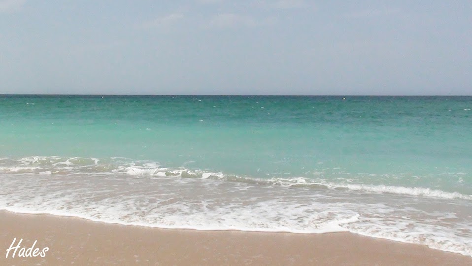 04_color+del+mar.JPG