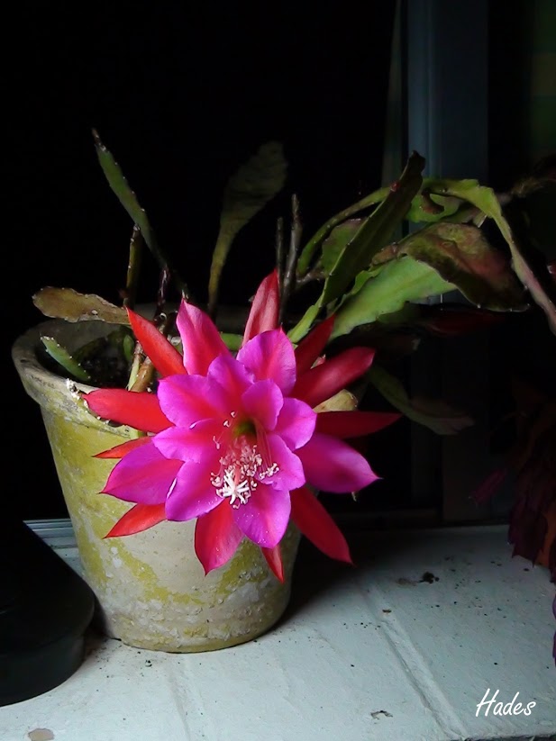 04_planta2.jpg