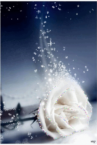 04dea7a487c1ec81f4327813173041fc.gif