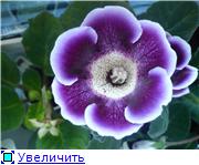 04fda3b34ab7t.jpg