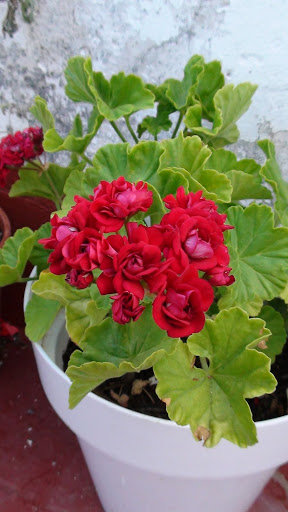 05-2010_02.JPG
