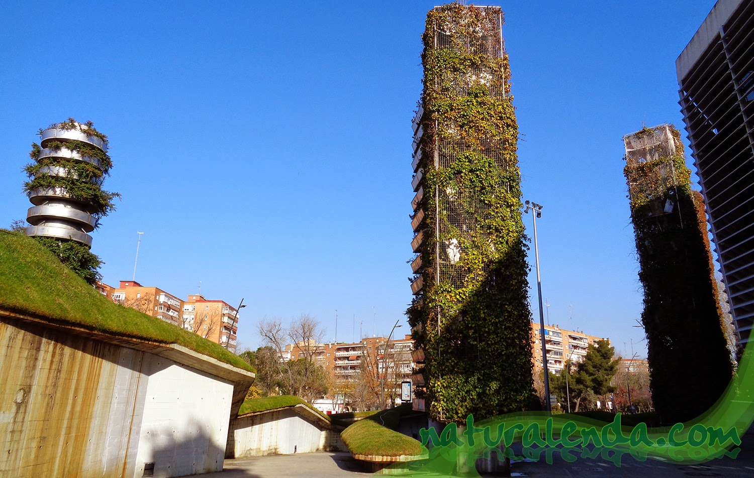 05%2Bteatro%2Bdel%2Bbosque%2Ben%2Bmostoles.jpg