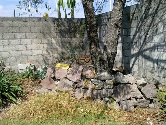 05022012598.jpg