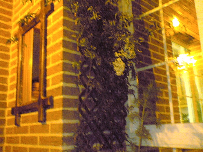 05032007.jpg