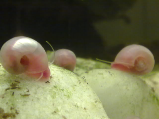 050320111298.jpg