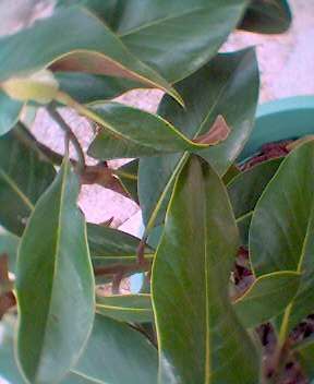 0503_183923.jpg