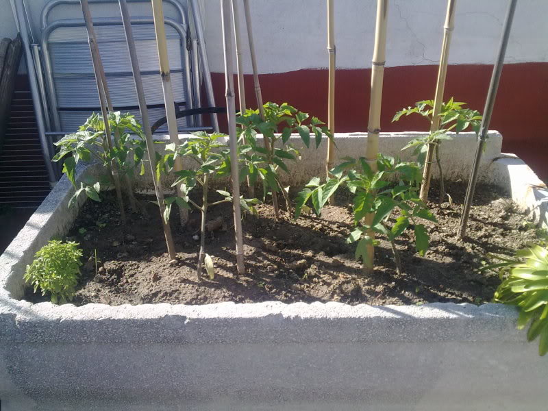 05052010113.jpg