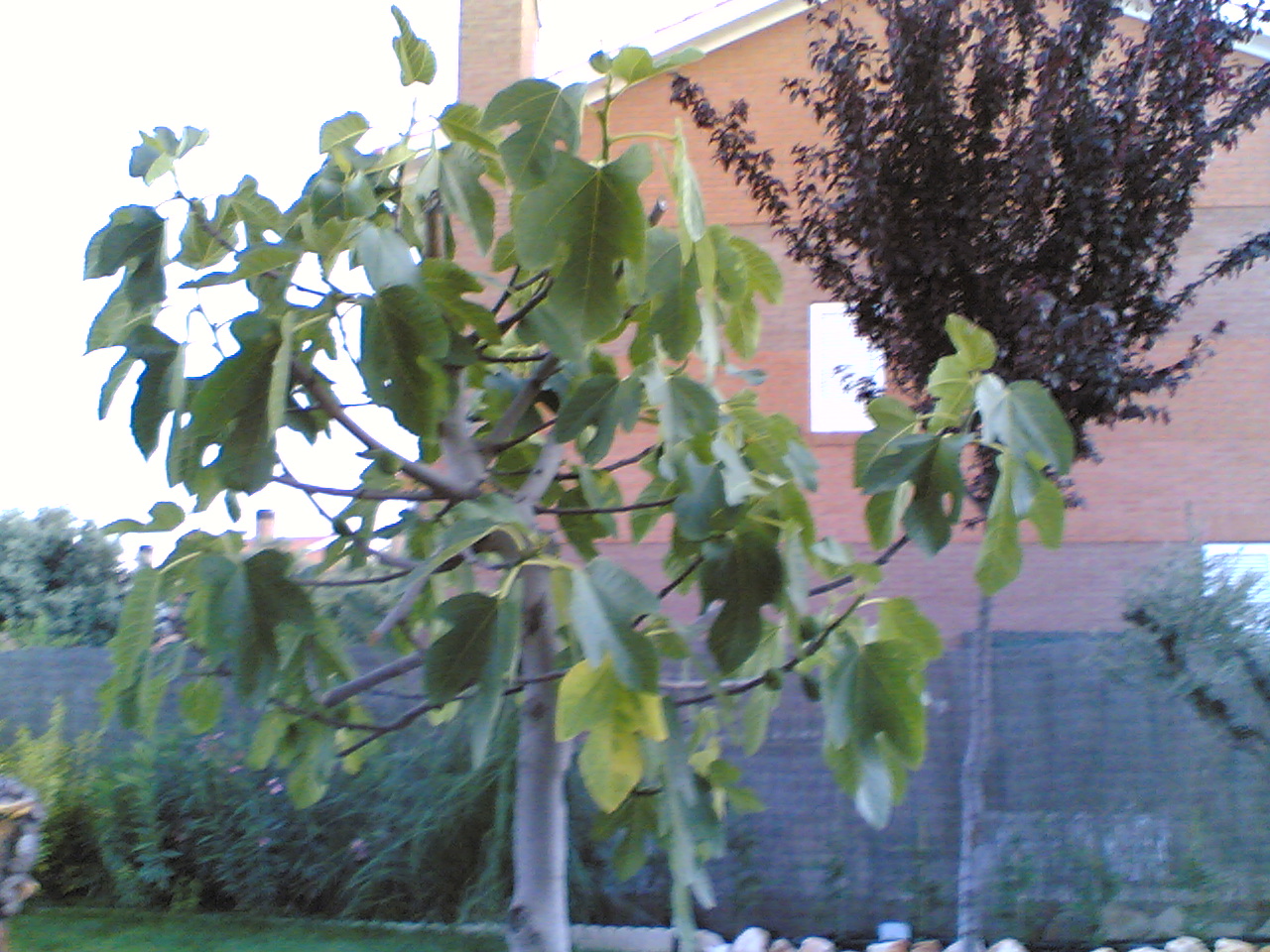 05062006%28001%29.jpg