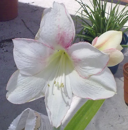050620113161.jpg