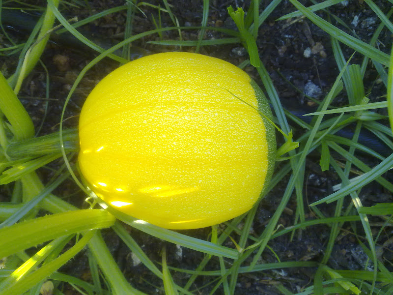 05072011292.jpg