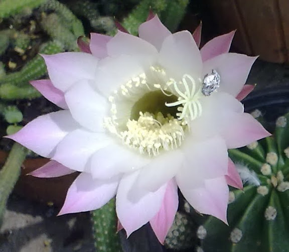 050720113414.jpg