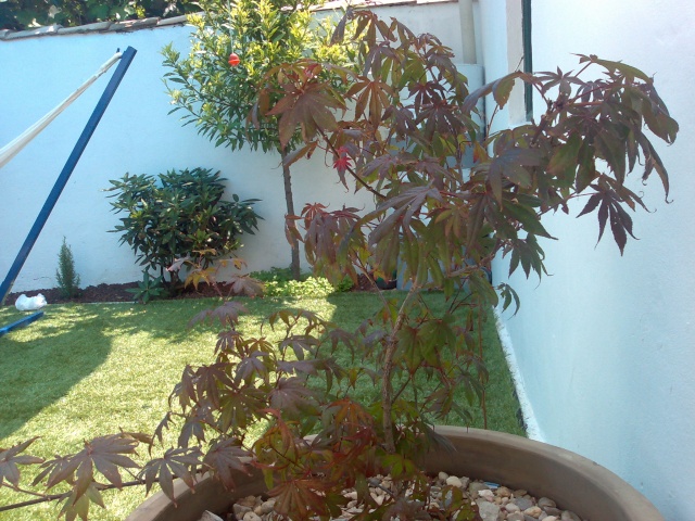 05072014.jpg