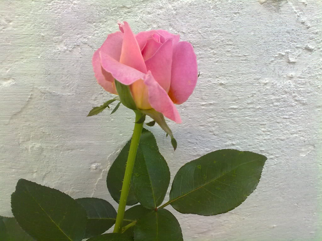 05082010101.jpg
