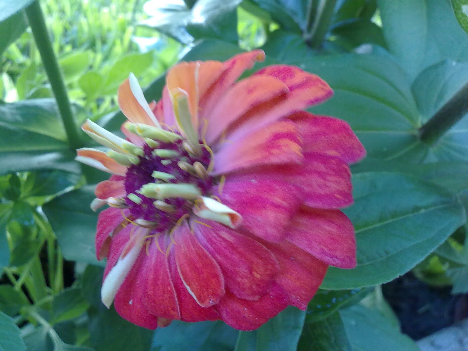 050820102346.jpg