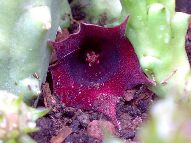 050820117429.jpg