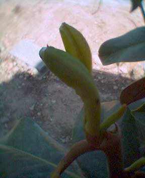 0508_172821.jpg