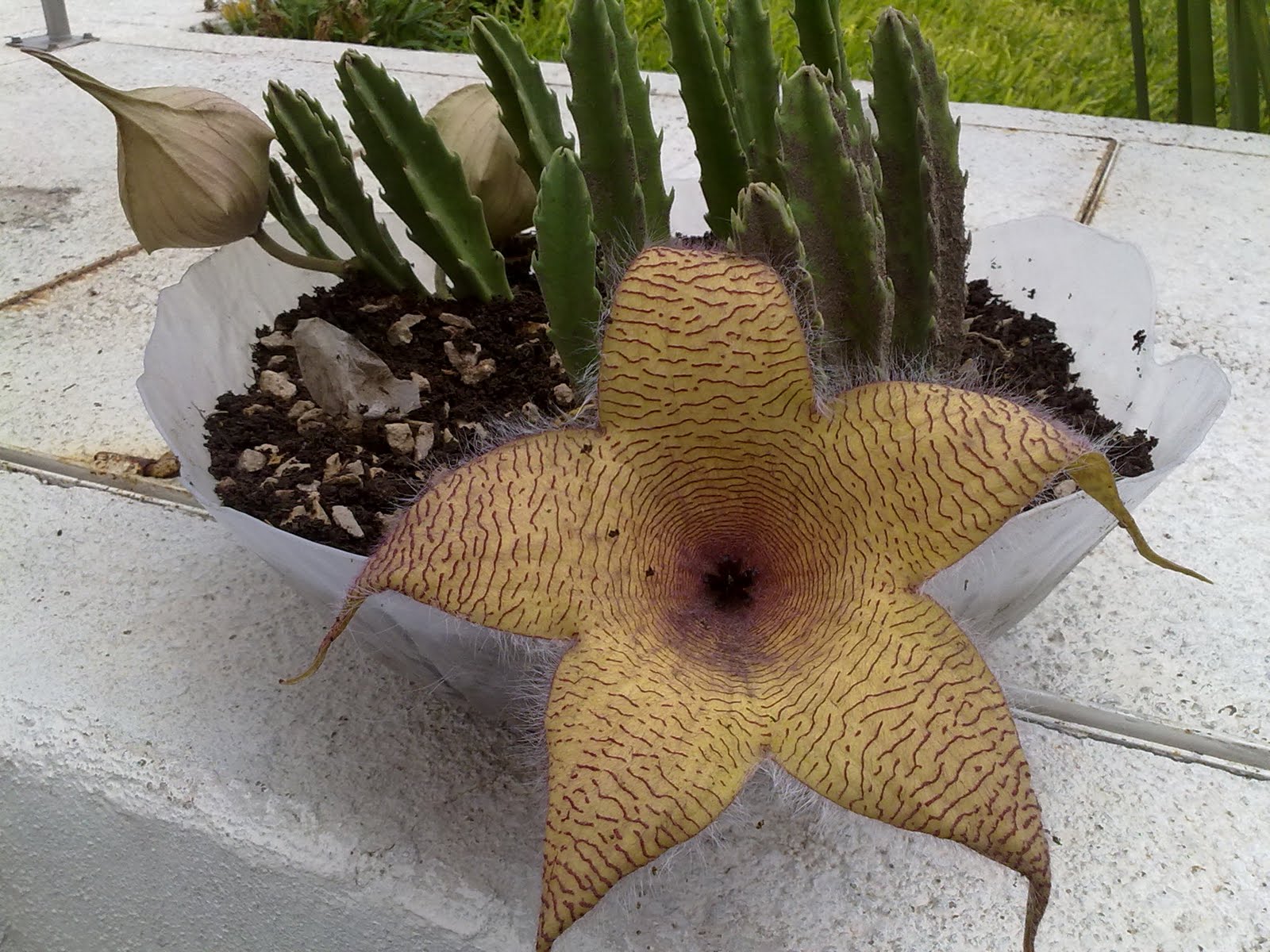 050920103317.jpg
