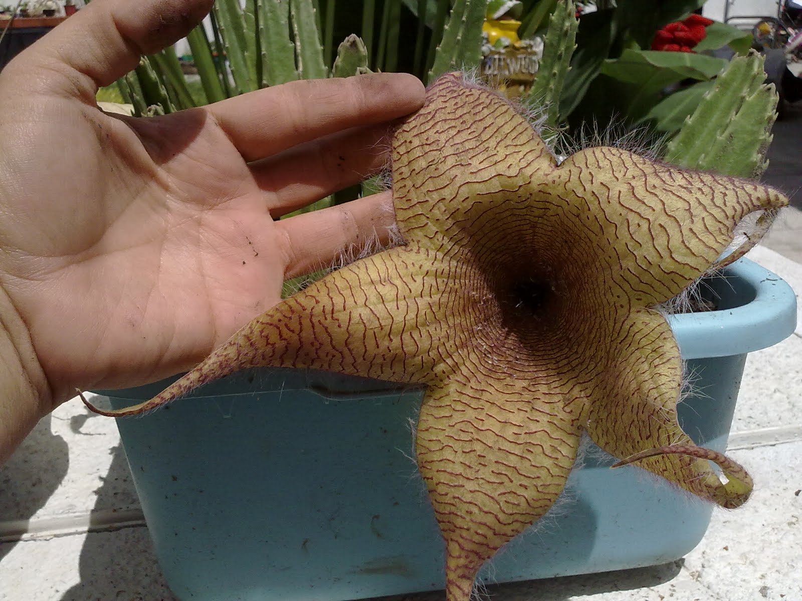 050920103321.jpg