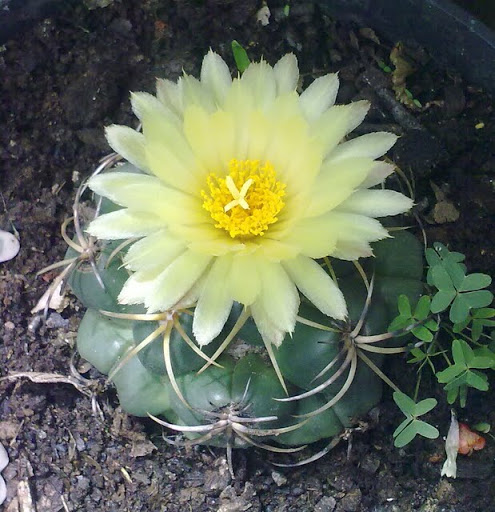 050920114126.jpg