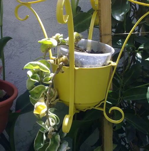 050920114127.jpg