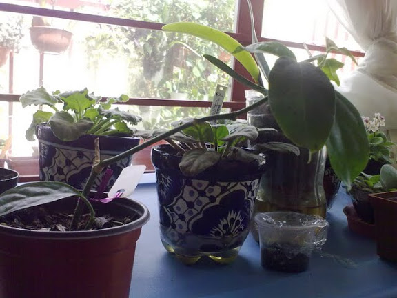 050920114136.jpg