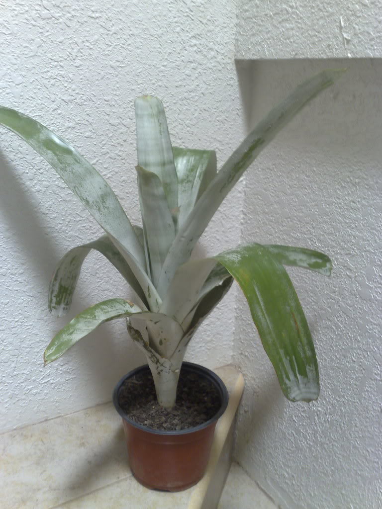 051020101315.jpg