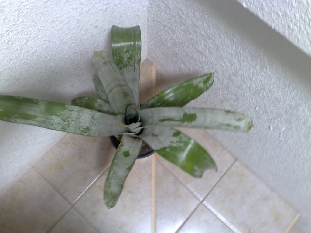 051020101316.jpg