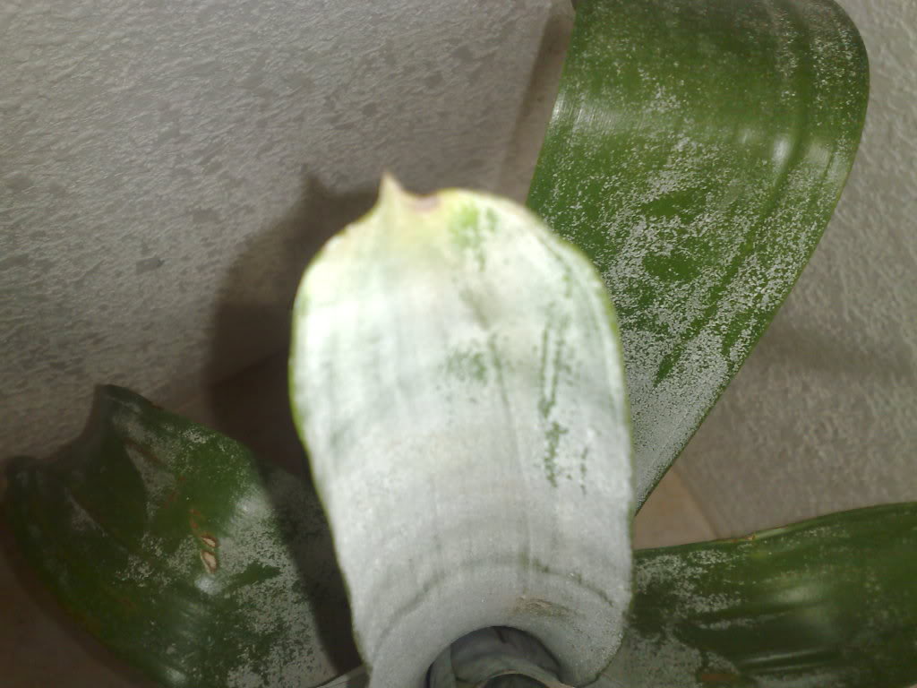 051020101317.jpg