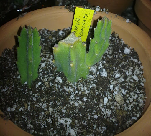 051020123260.jpg