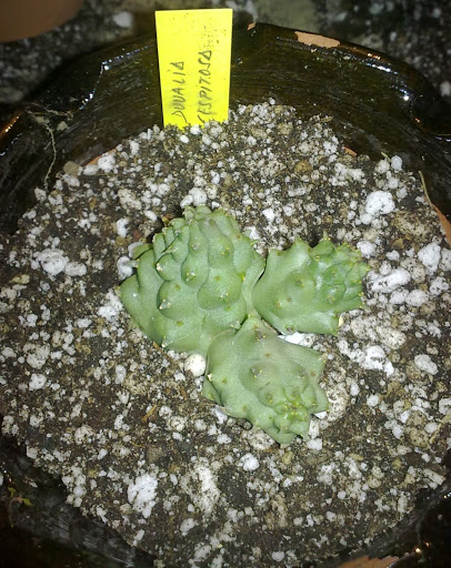 051020123263.jpg