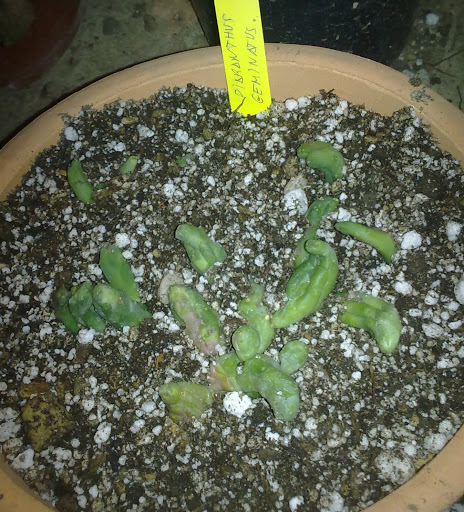 051020123267.jpg