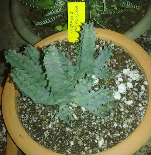 051020123269.jpg