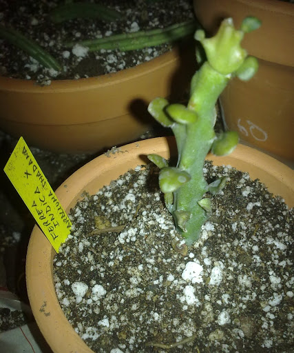 051020123272.jpg