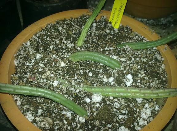 051020123275.jpg