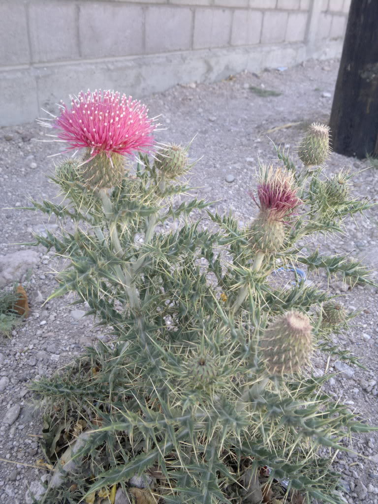 05302011278.jpg