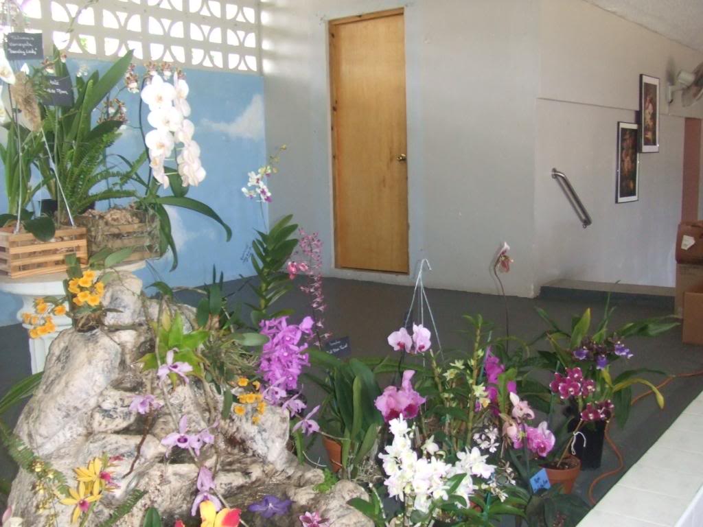 056-1.jpg