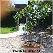 05987a368e865d9b601a2036f0d6a0f0o.jpg