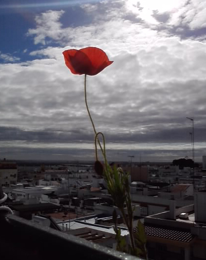 05_perfil+cielo.jpg