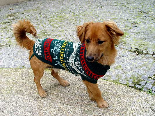 05DIC4.jpg