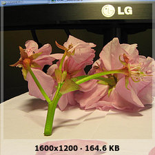 05f33055f36d0a95b2fe0077f0b485bao.jpg