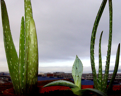05nov05-3x2.jpg