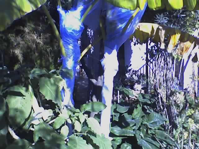 06-01-07_1330.jpg