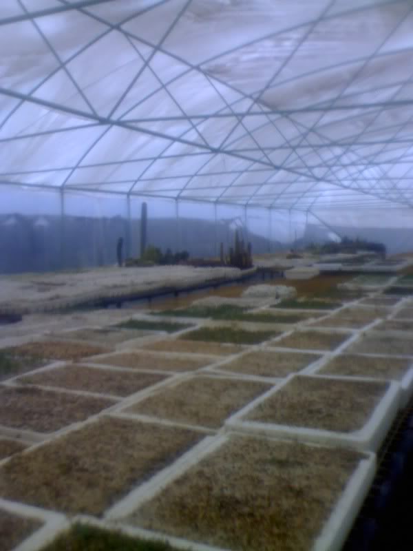 06-01-10_1329.jpg