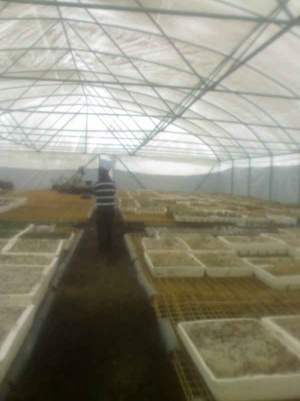 06-01-10_1330.jpg