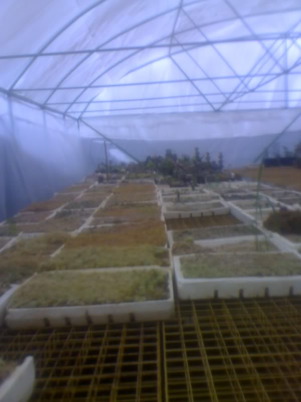 06-01-10_1331.jpg