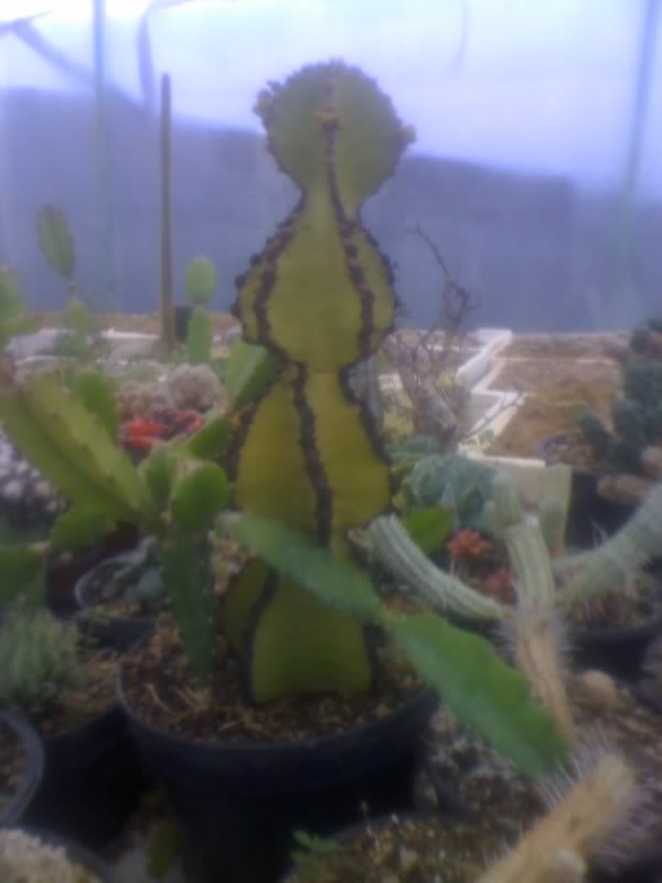 06-01-10_1333.jpg