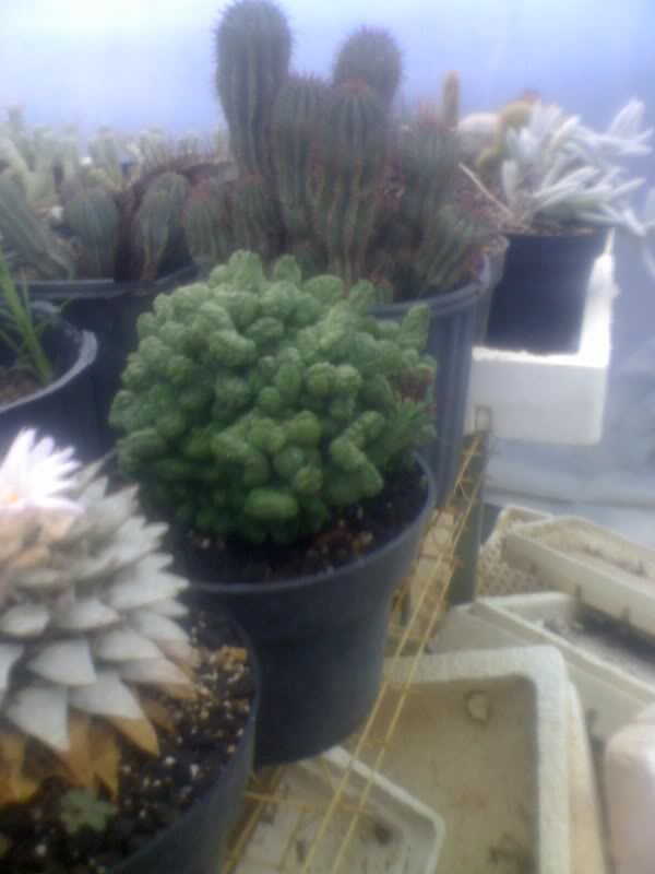 06-01-10_1334.jpg