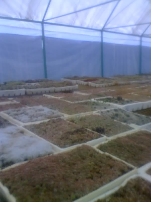 06-01-10_1335.jpg