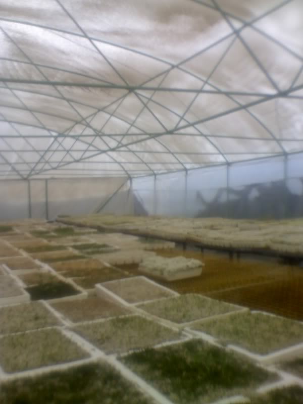 06-01-10_1339.jpg