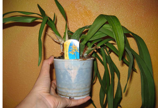 06-05-14%20039.jpg